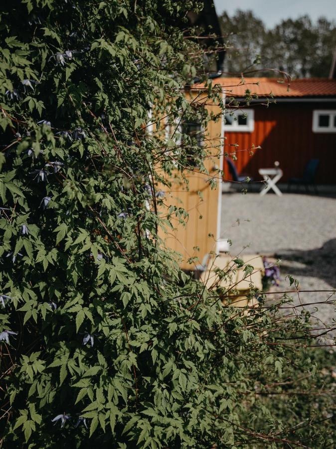 울라레드 En Lantlig Idyll Med Skogen Precis Utanfoer Doerren! 빌라 외부 사진