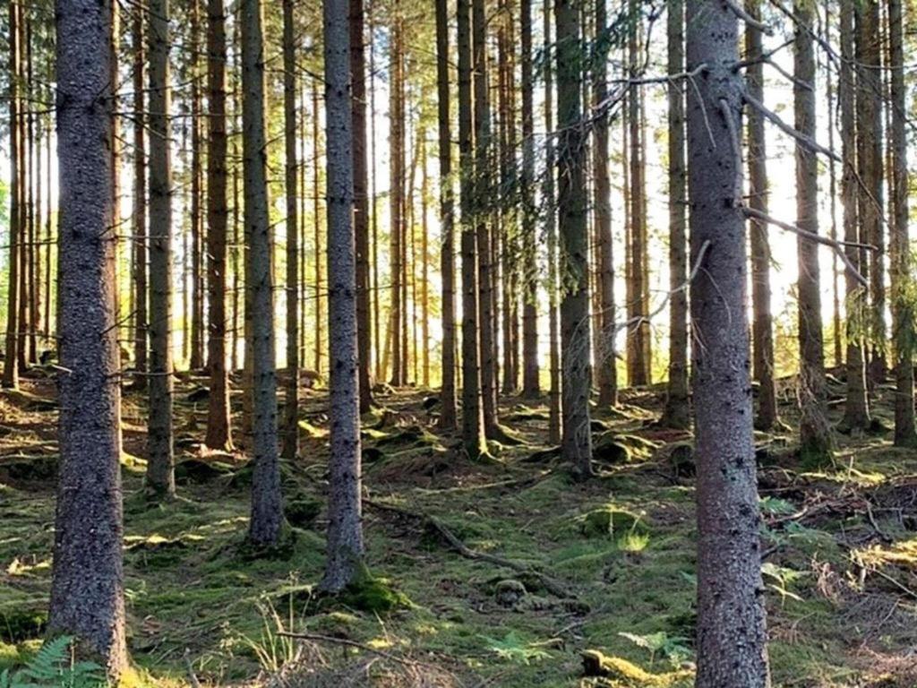 울라레드 En Lantlig Idyll Med Skogen Precis Utanfoer Doerren! 빌라 외부 사진